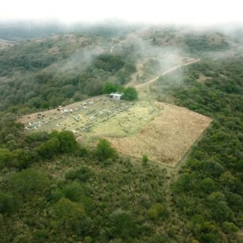 Nuestra tierra: una invitación a la conversación